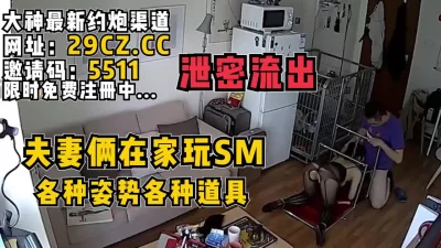 后宫宫妃被各种SM调教